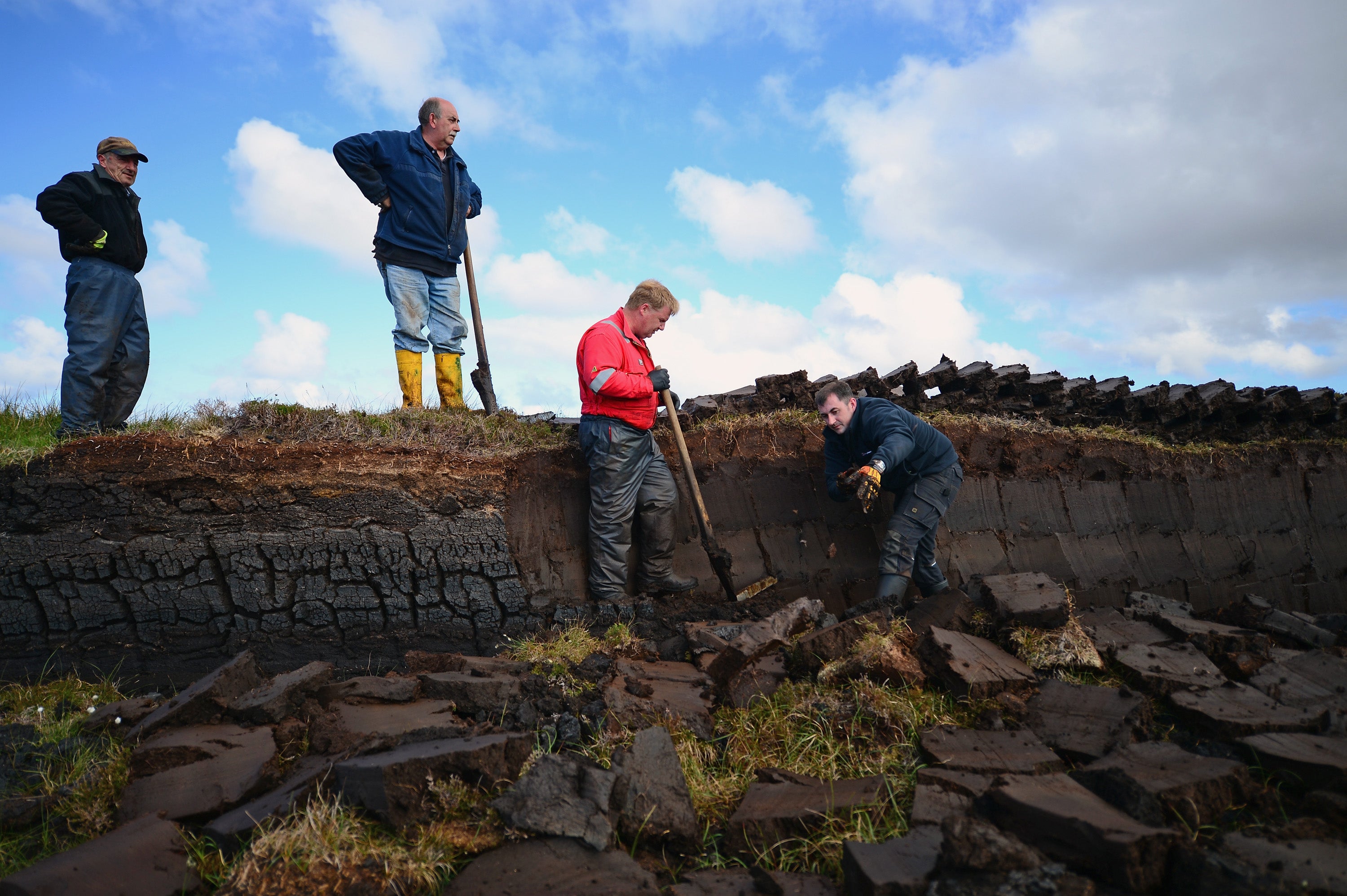 UK peatlands contain 20 times more carbon than found in the nation’s forests