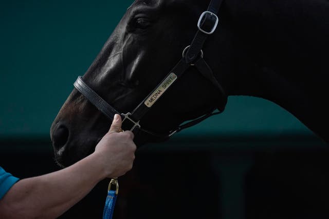 PREAKNESS