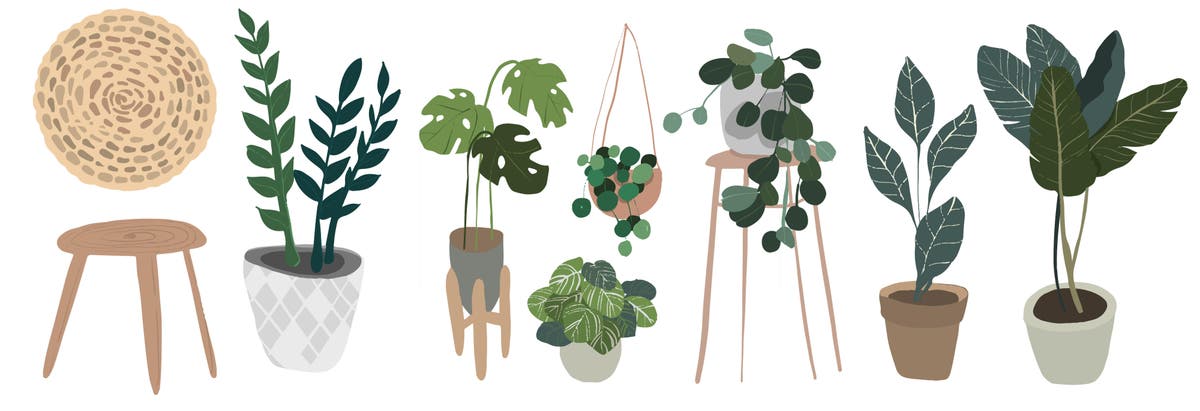 11 things you’ll understand if you’re a consistent plant killer