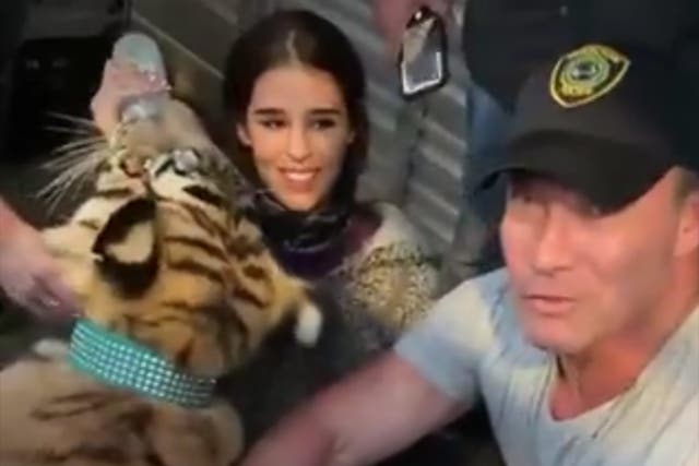 <p>Houston police reveal they’ve recovered the missing Bengal tiger after nearly a week-long search</p>