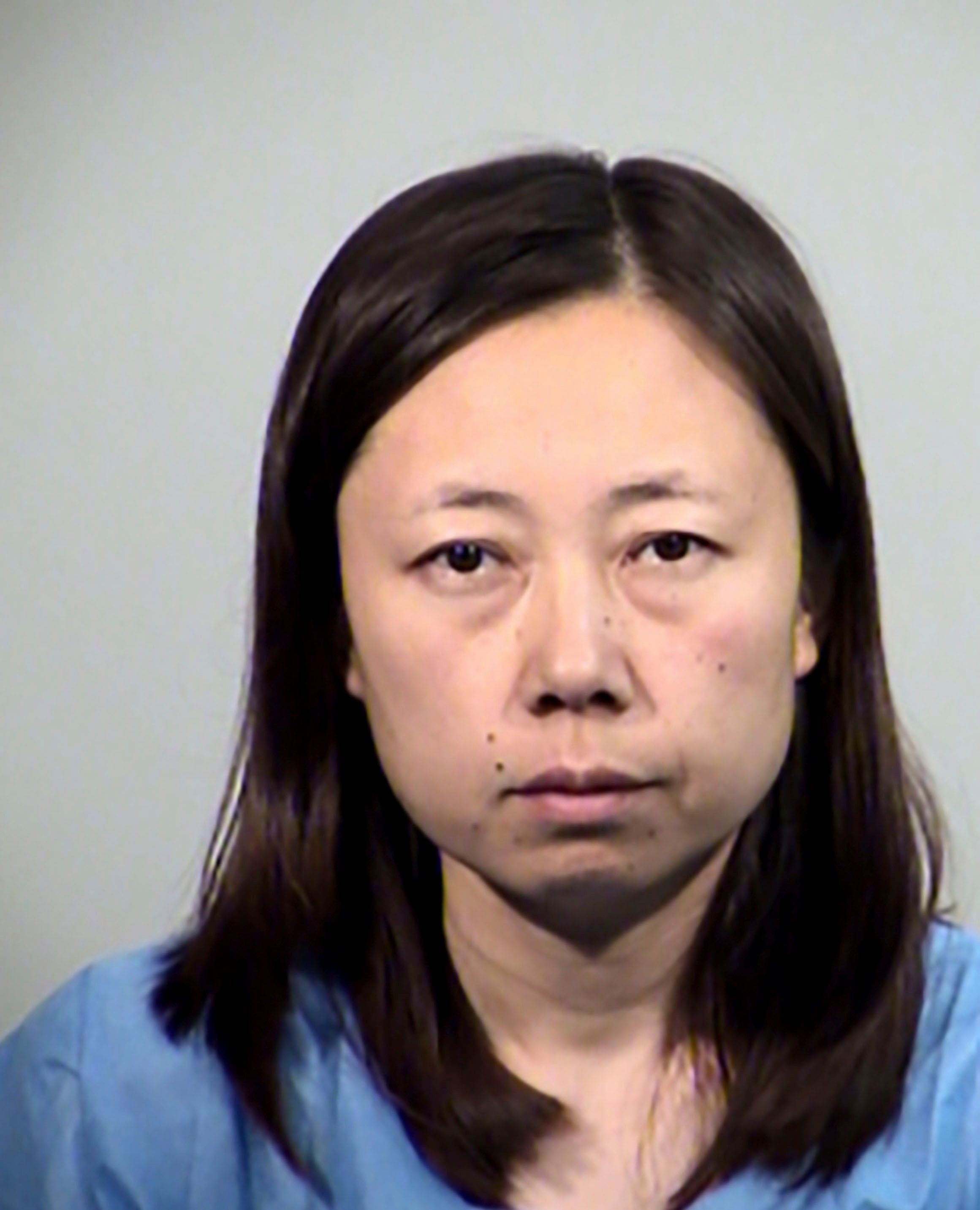 Arizona mom denies killing 2 children with meat cleaver Arizona Japan Police Your Honor Phoenix The Independent
