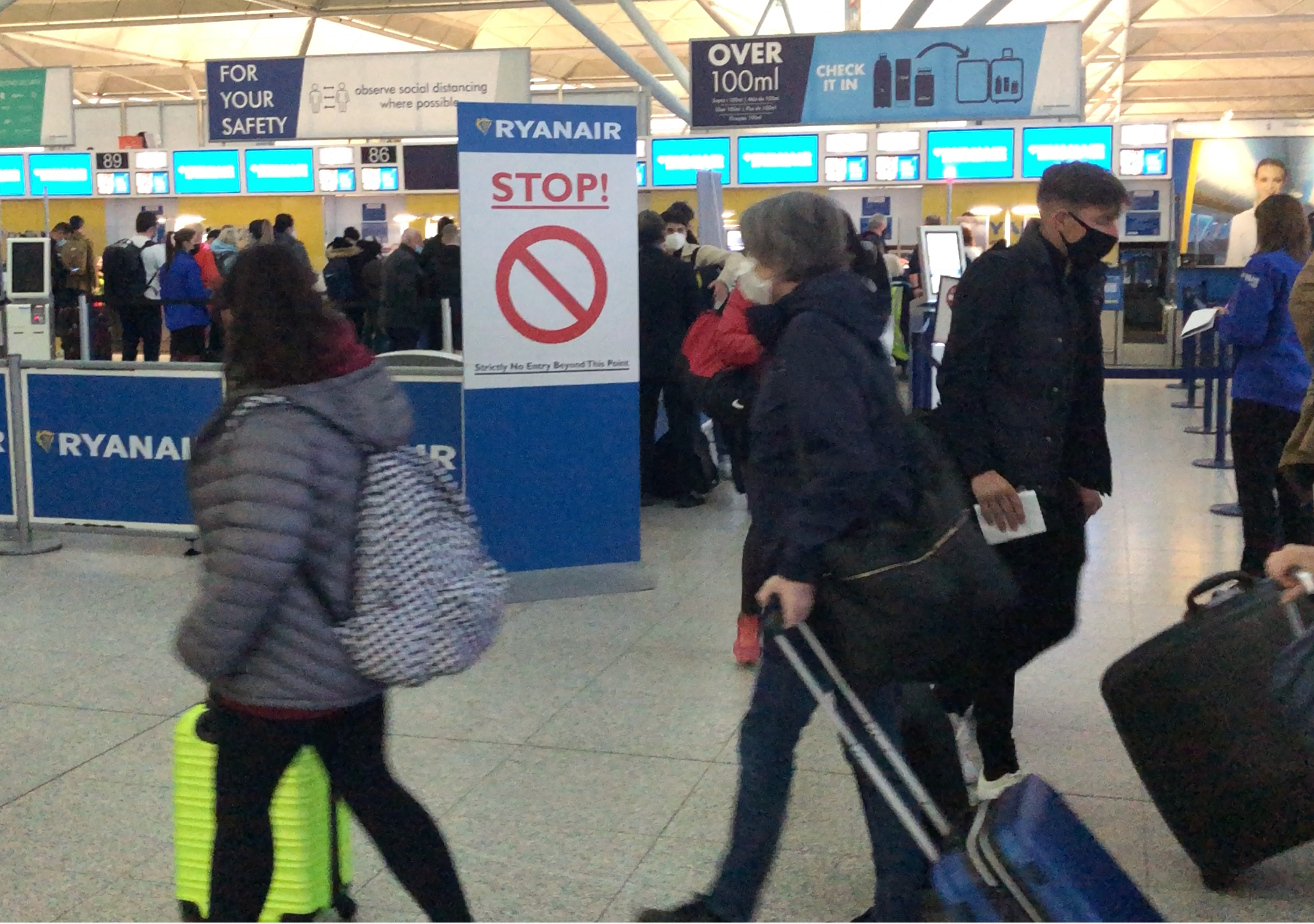 Going places: the check-in queue for Ryanair at Stansted airport
