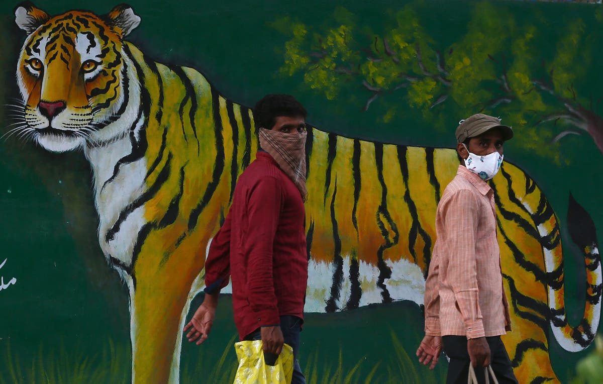 The Latest: India sees cases drop, struggles on vaccinating