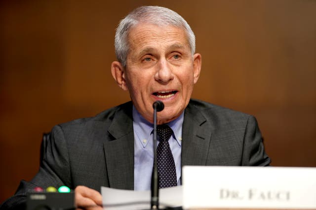 <p>Dr Anthony Fauci, director of the National Institute of Allergy and Infectious Diseases, said racism has led to unacceptable health disparities amid pandemic</p>