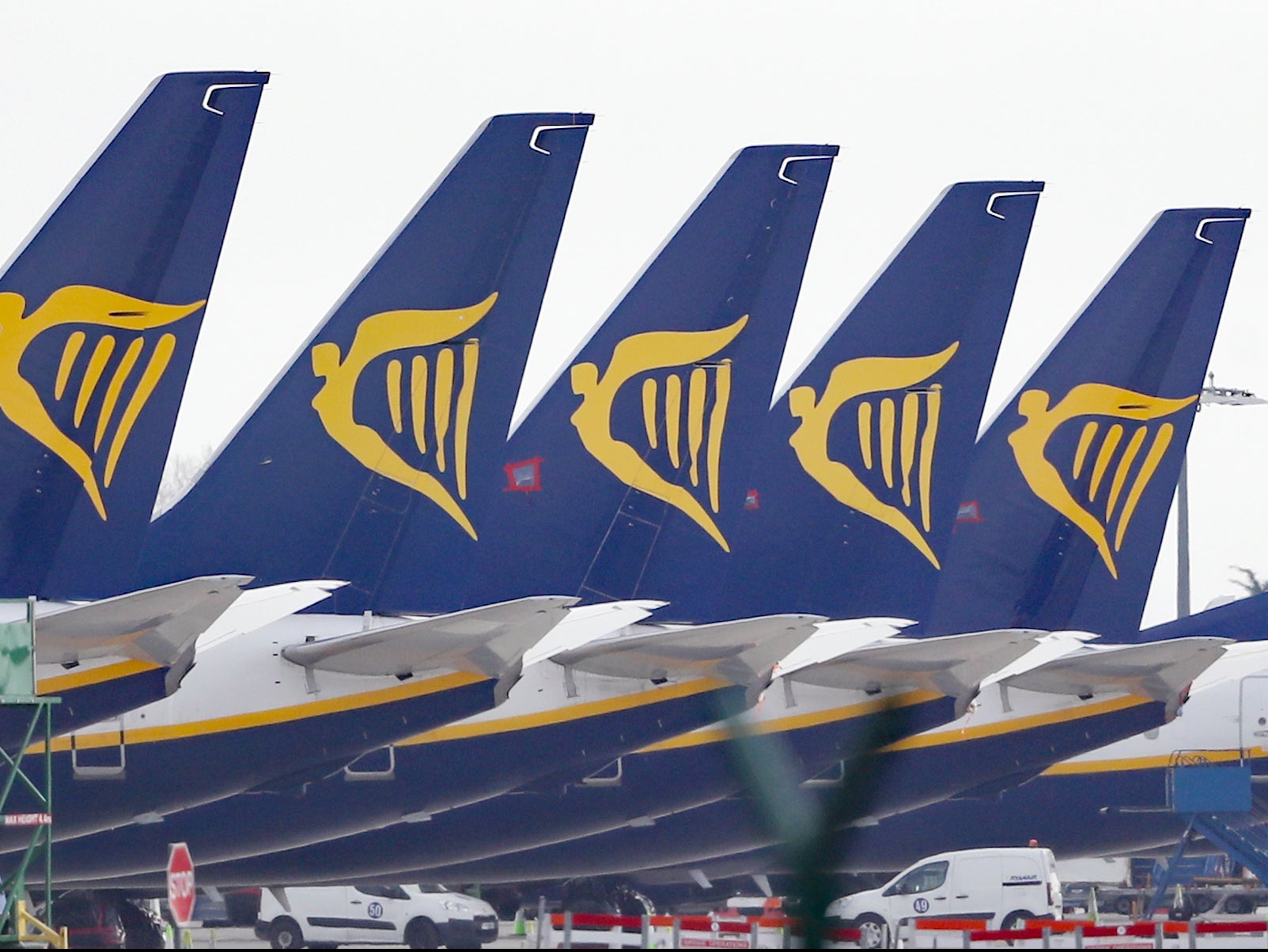 Much of Ryanair’s fleet has remained grounded over the past year due to the pandemic