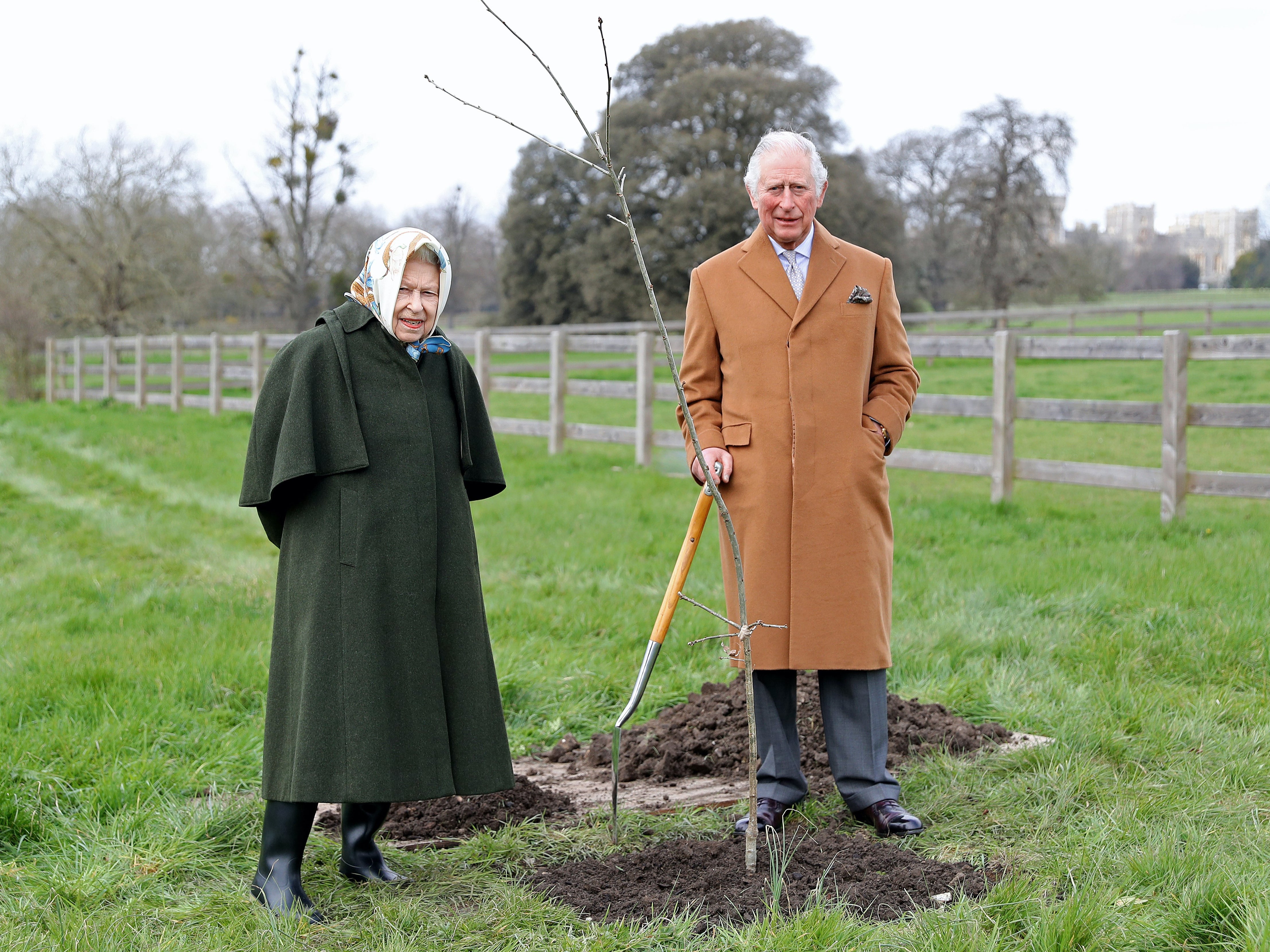 Queen and Prince Charles planting tree at Windsor earlier this year
