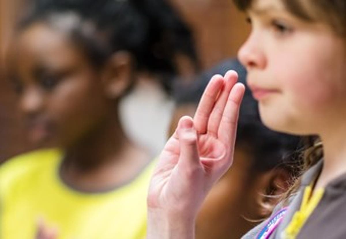 Girlguiding charity apologises as audit uncovers racism and Islamophobia