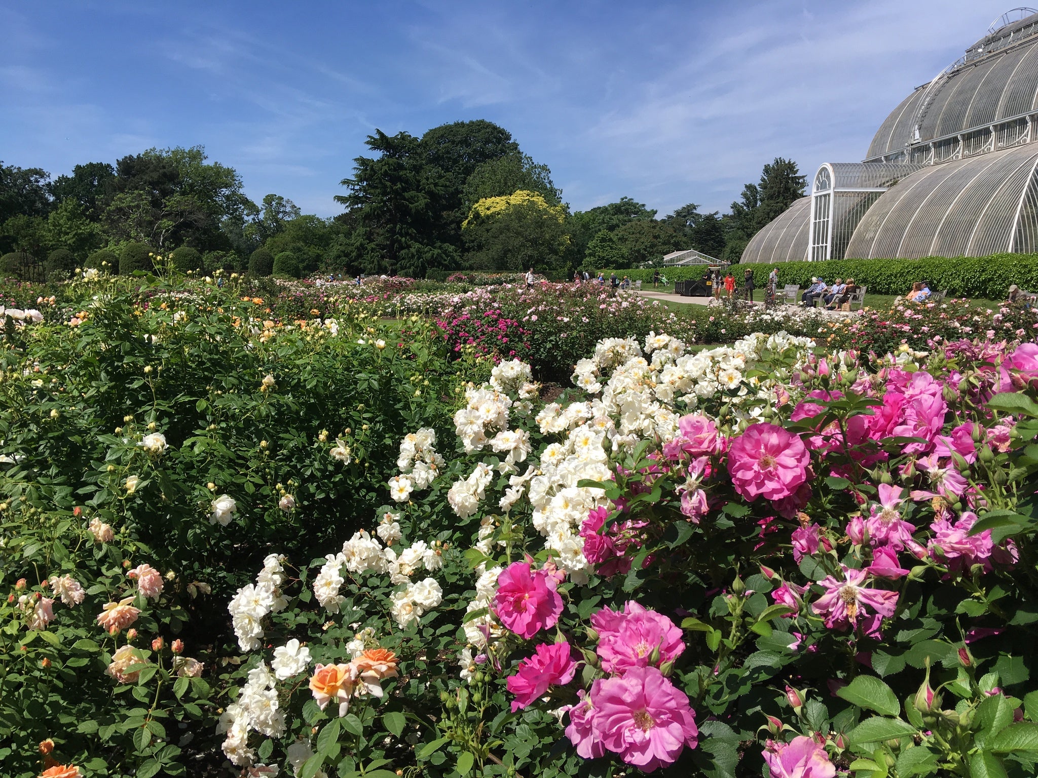 Summer at Kew Gardens