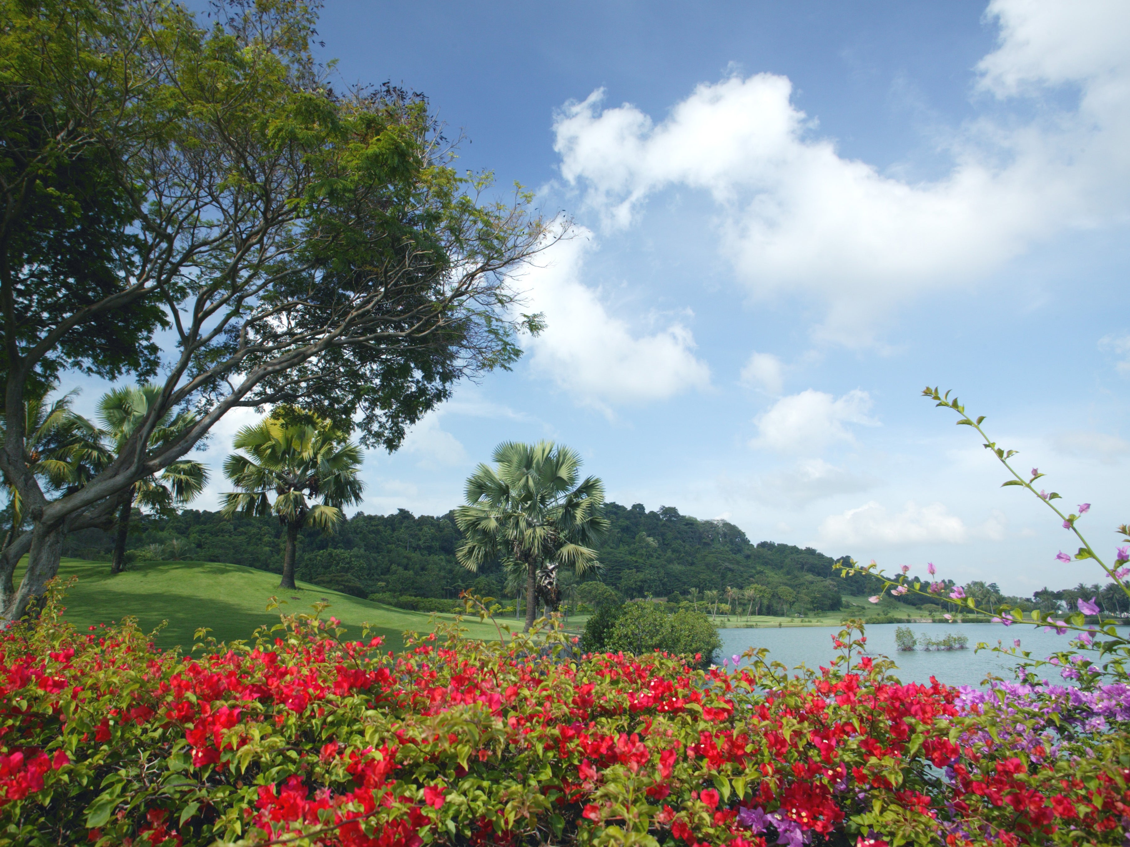 Singapore Botanic Gardens