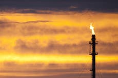 No place for new fossil fuels if world is to reach net zero by 2050, says landmark report