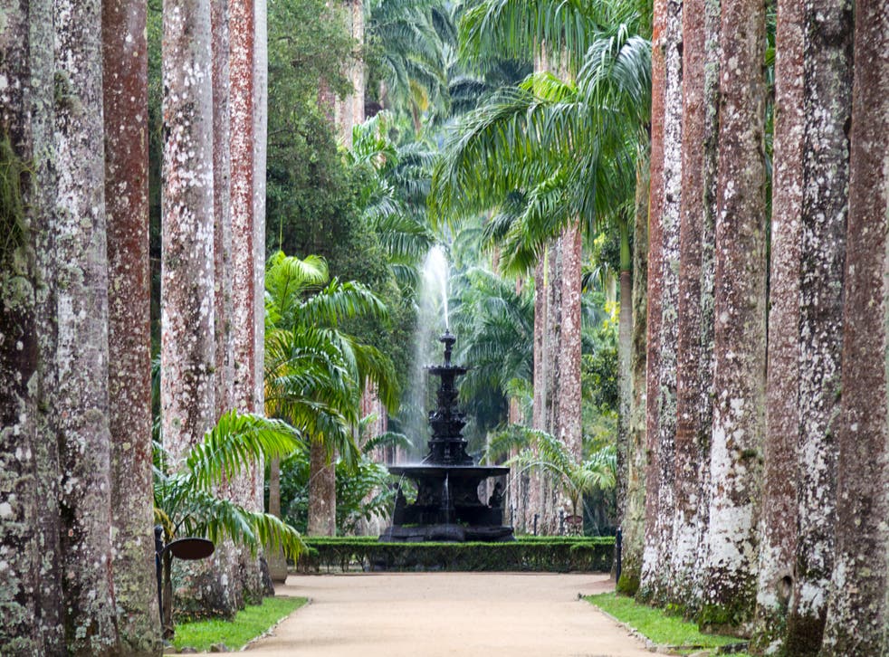 <p>Water fountain at Jardim Botanico in Rio de Janeiro</p>