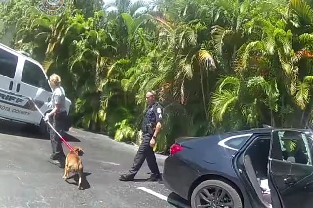 <p>Body camera footage shows police resucing a dog in Sarasota, Florida</p>