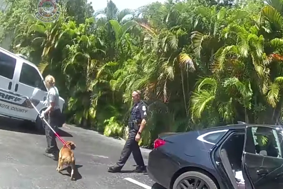 Police smash car window to save dog from 115F heat | The Independent