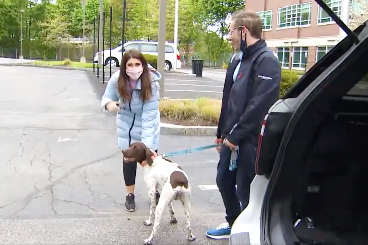 TV reporter recognises stolen dog and rescues it from suspected thief on air 