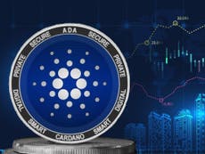 What is Cardano? The ‘green’ crypto that defied Musk’s bitcoin crash – and hopes to surpass Facebook and Netflix