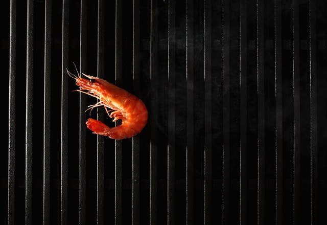 SYDNEY, NSW - JANUARY 25:  A king prawn cooks on a barbeque January 24, 2006 in Sydney Australia. Australian comedian Paul "Crocodile Dundee" Hogan coined the massively successful catchphrase "Throw another shrimp on the barbie" in an international advertising campaign for the Australian Tourist Commission in the 1980's.  The nation will celebrate Australia Day on January 26.  (Photo Illustration by Ian Waldie/Getty Images)