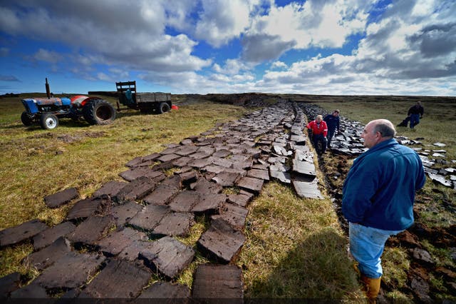 <p>A ban on peat compost use for gardeners should be brought forward, campaigners say</p>