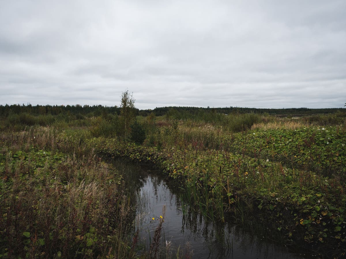 Why is peat bad for the environment and what are the alternatives?