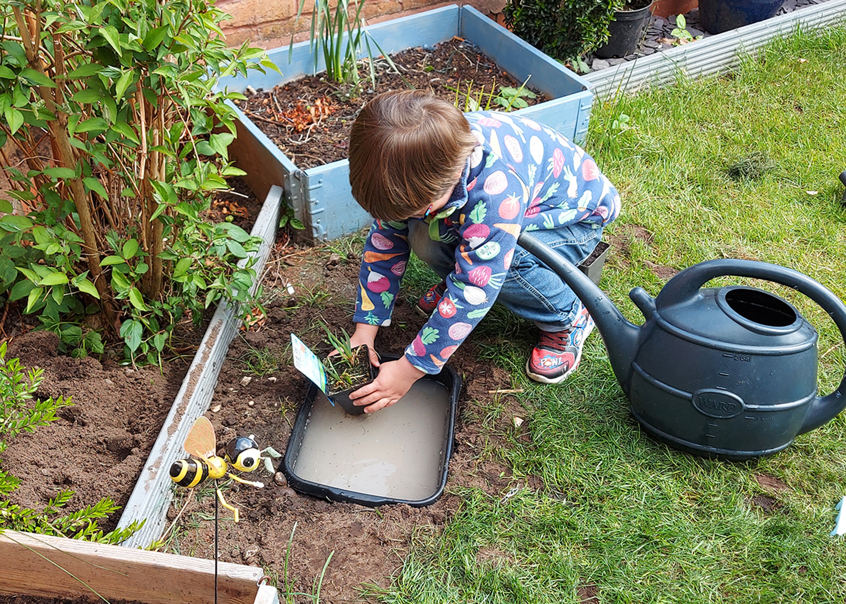 A boy planting pond plants into a mini pond (Garden Organic/PA)