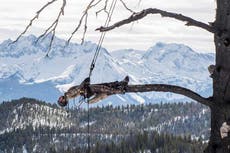Matthew Barney: Redoubt, Hayward Gallery review – Barney’s cosmic hunt-myth film succeeds through sheer conviction