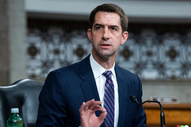 <p>Senator Tom Cotton says the GOP would continue to support Ukraine </p>
