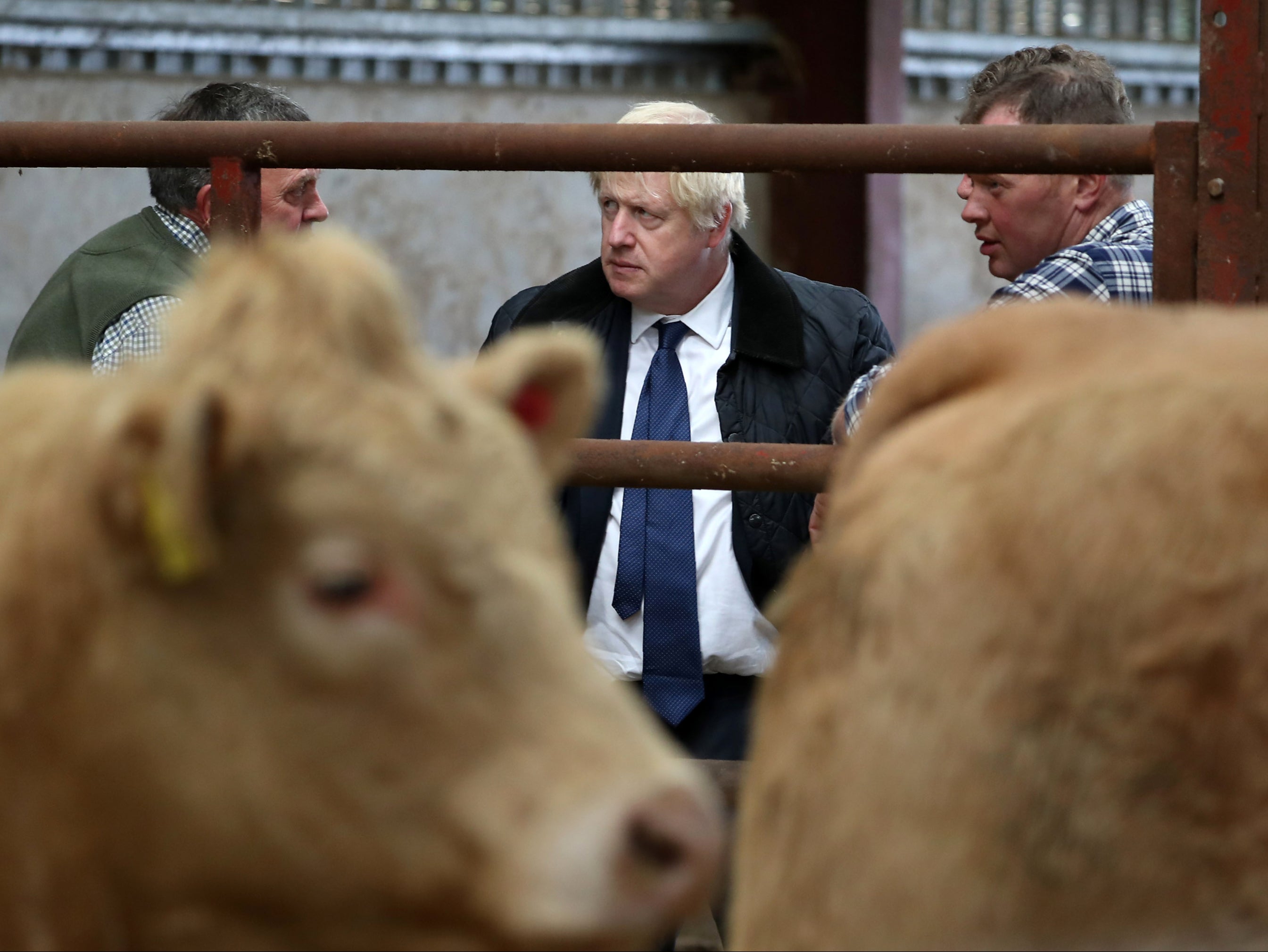 Will Boris Johnson side with British farmers?