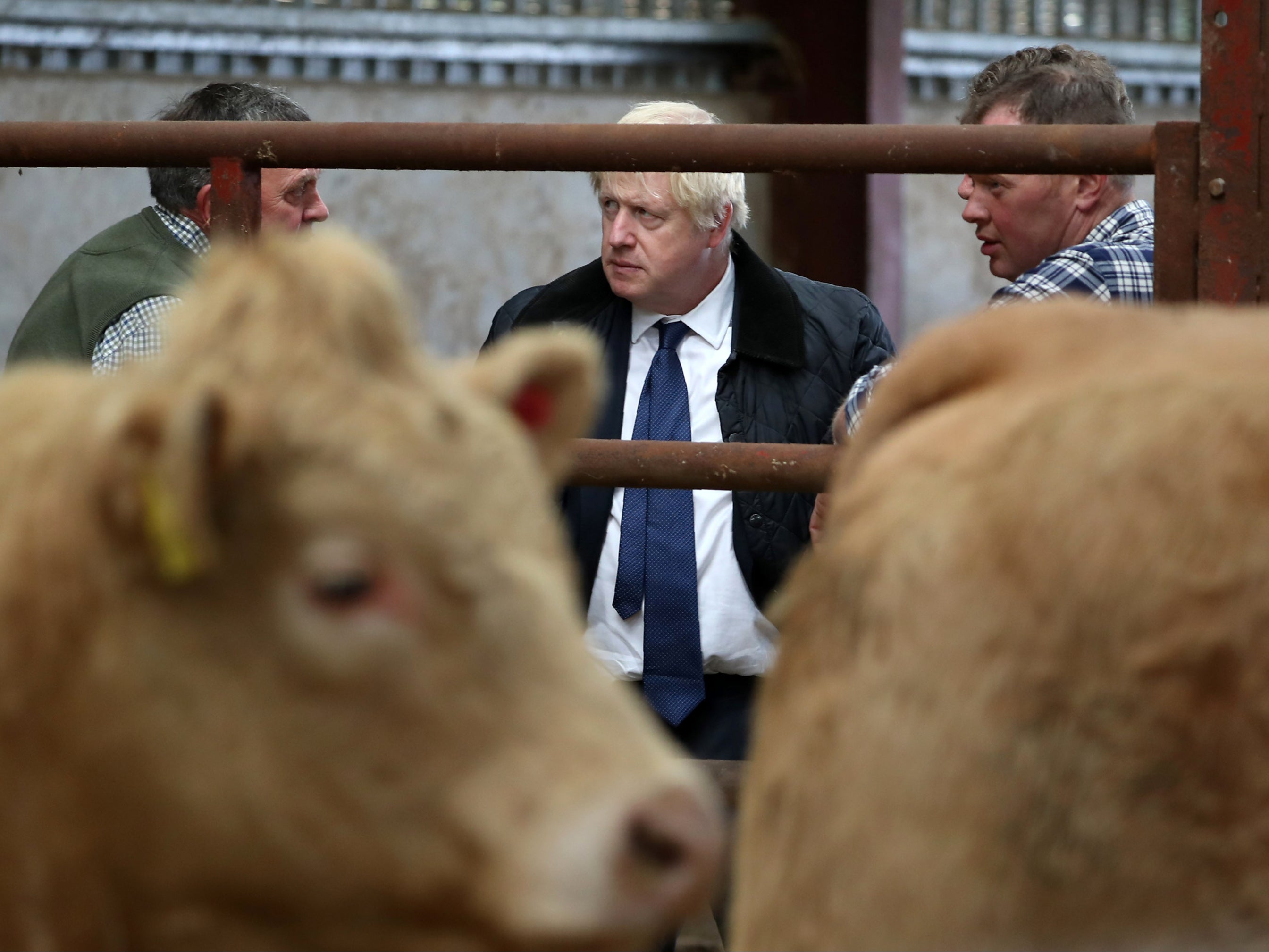 Brexit Who Will Boris Johnson Back In The ‘ferocious Australian Trade Deal Row The Independent 