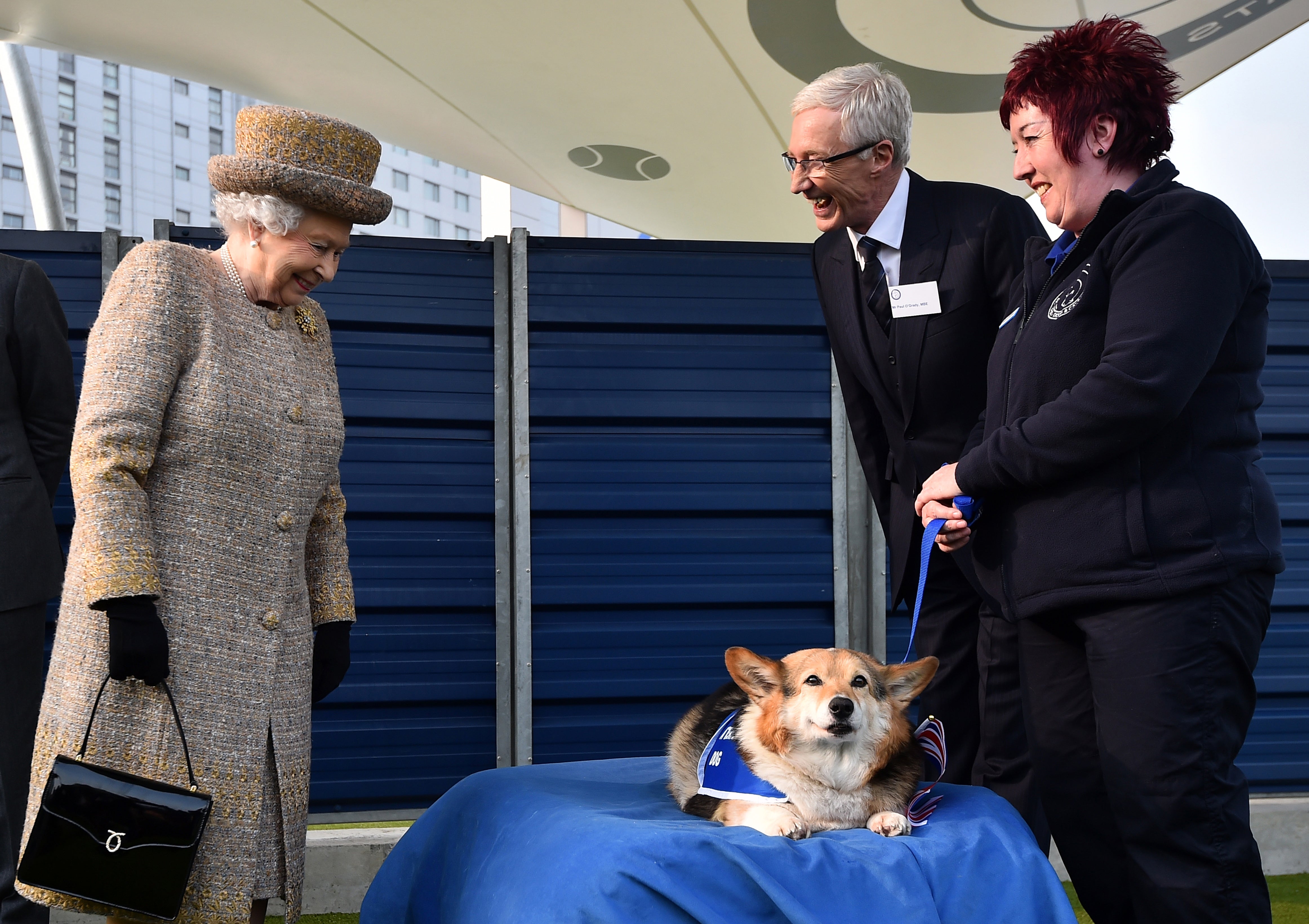 <p>File image: Queen Elizabeth II looks at a Corgi dog during the opening of the new Mary Tealby dog kennels at Battersea Dogs and Cats Home in London in 2015</p>