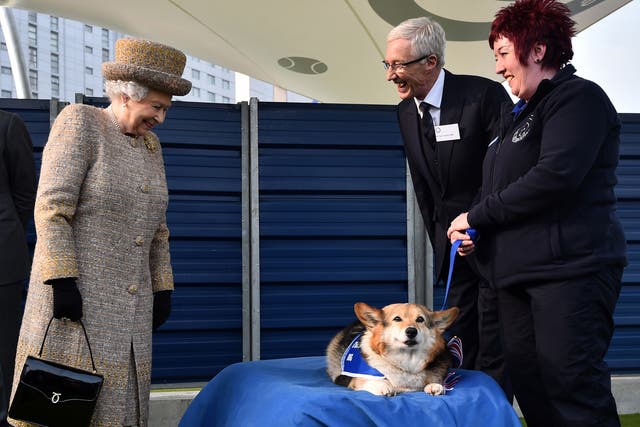 <p>File image: Queen Elizabeth II looks at a Corgi dog during the opening of the new Mary Tealby dog kennels at Battersea Dogs and Cats Home in London in 2015</p>