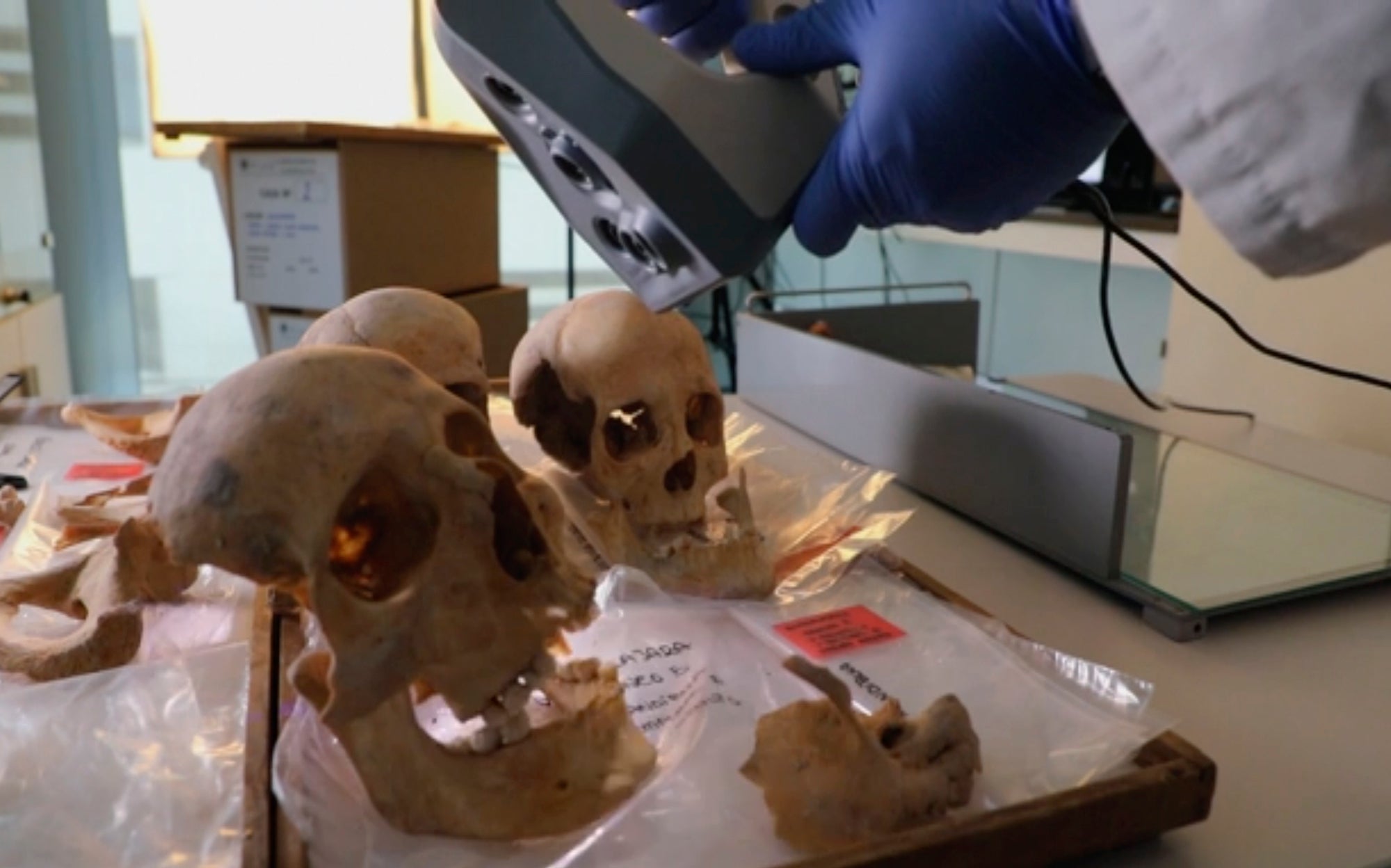 A scientist controls a 3D scanner over the alleged remains from bones of Christopher Columbus and family members