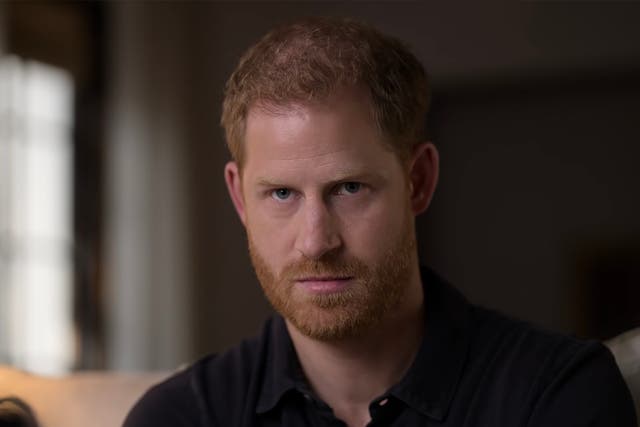 Prince Harry in Apple TV+’s The Me You Can’t See