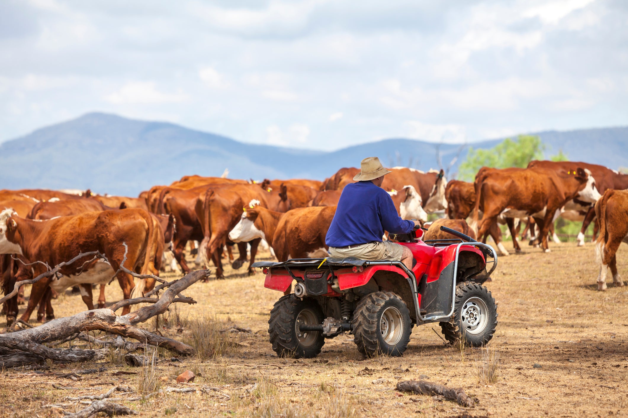 UK farmers are worried about competing with Australian farmers on a tariff-free basis