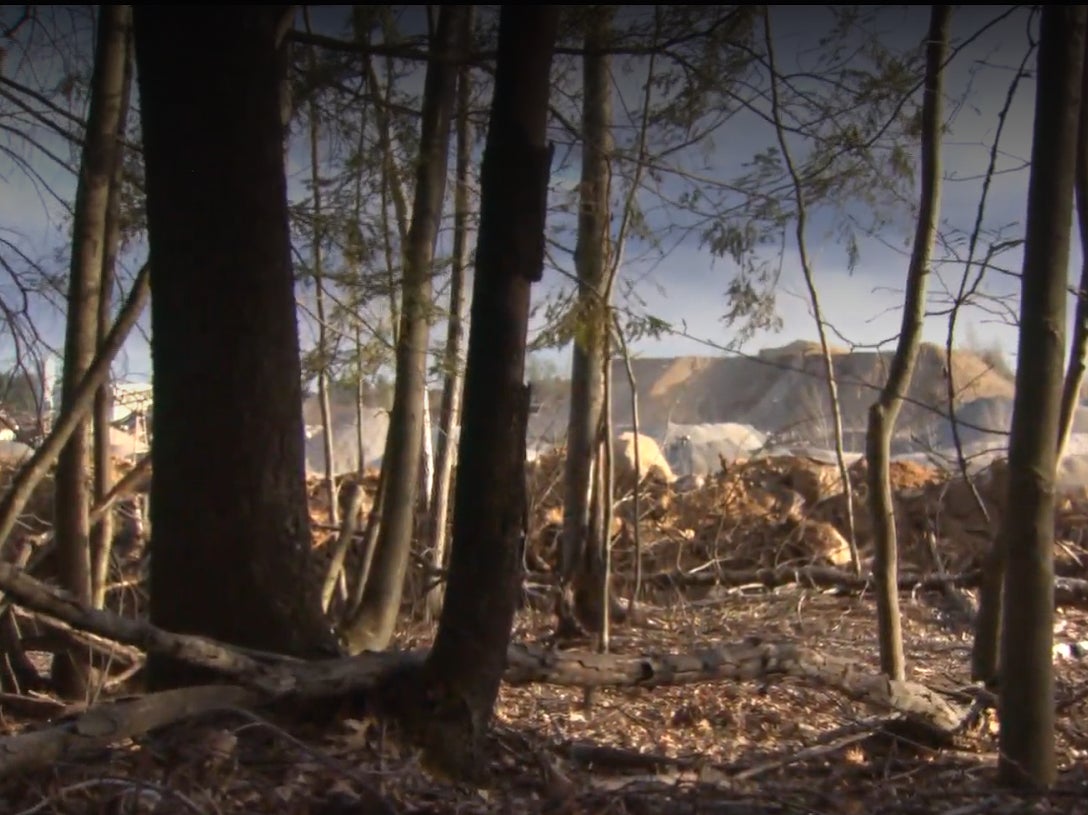 <p>Police tracked the incident to Torromeo quarry where a family admitted to holding a gender reveal party</p>