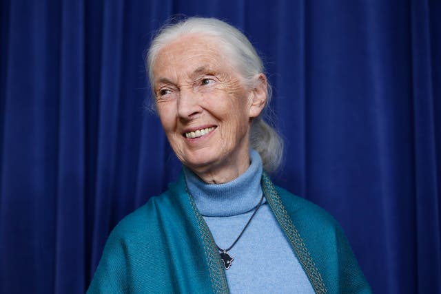 Templeton Prize-Jane Goodall