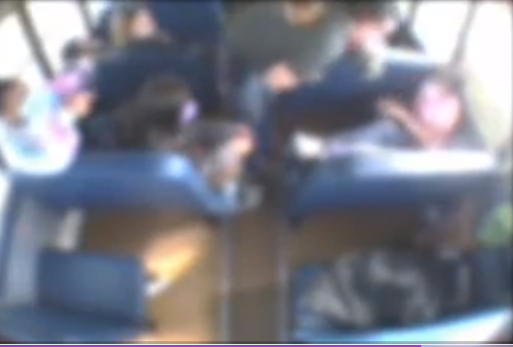 <p>The bus driver was let go following hitting little girl</p>