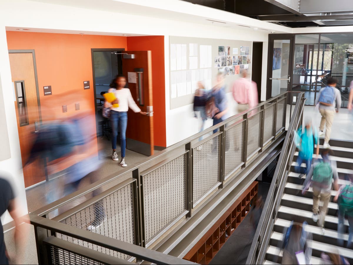 Government urged to fund extra year of study for college leavers to tackle impact of Covid Government urged to fund extra year of study for college leavers to tackle impact of Covid