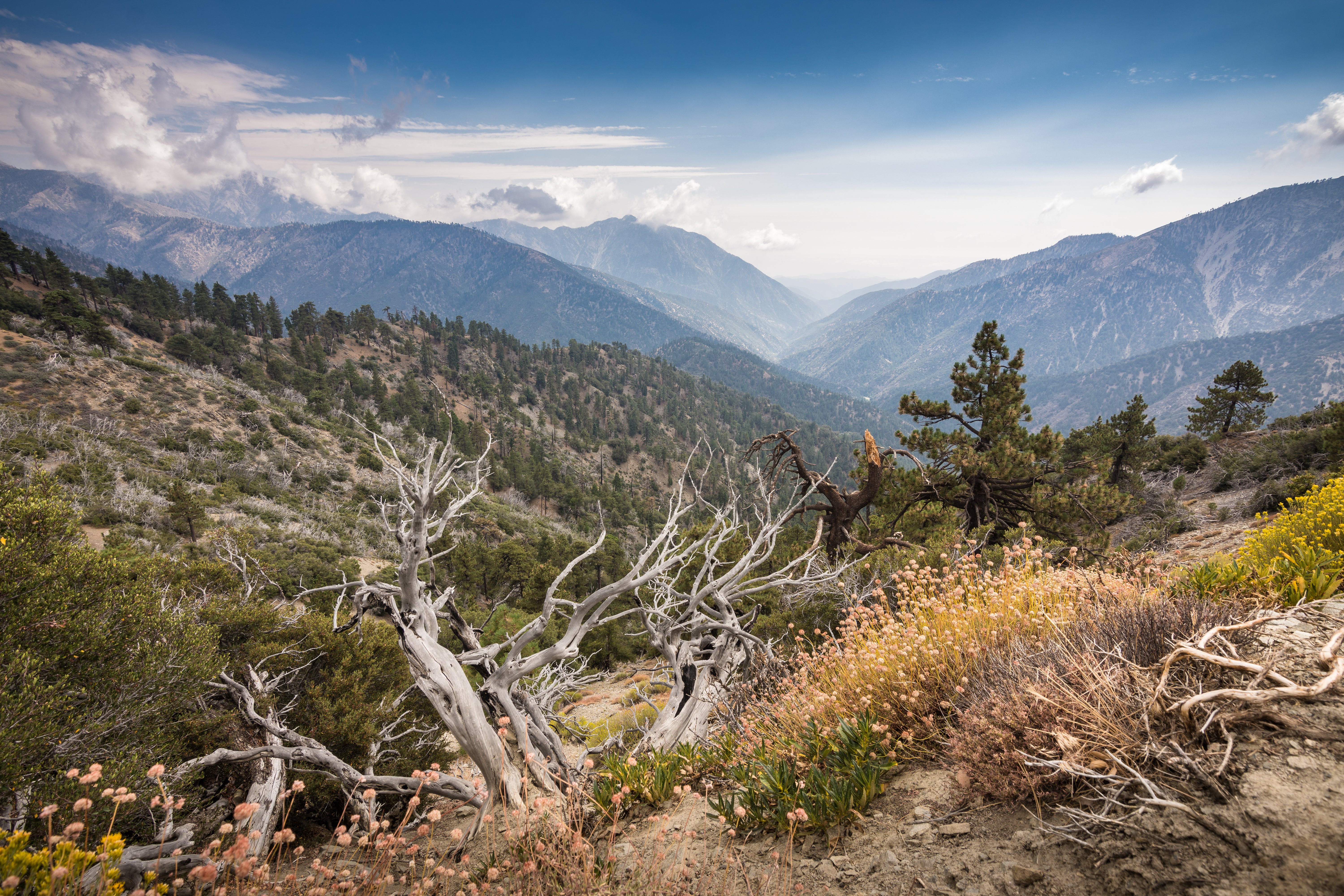 A view from Inspiration Point along the Pacific Crest Trail near the town of Wrightwood in Southern California. The view overlooks the Angeles National Forest and San Gabriel Mountains and river basin. Shot in Summer of 2017 with an ultra wide-angle lens.