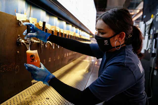 <p>Pull another one:  A bartender pours beers for customers returning to indoor hospitality</p>