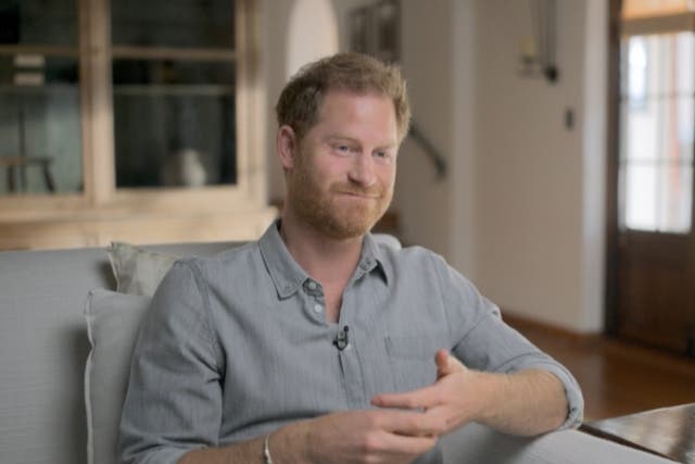 <p>Prince Harry tried the relatively new form of psychotherapy on his new Apple TV+ show alongside Oprah Winfrey.</p>