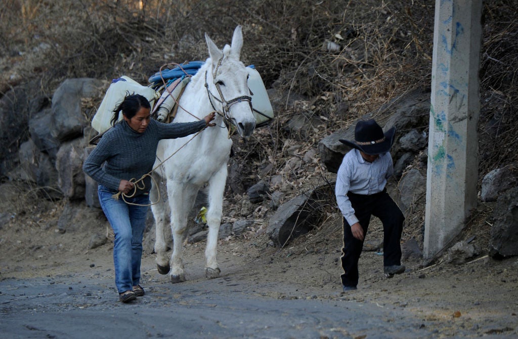<p>La pobreza laboral aumentó en 26 de las 32 entidades federativas del país</p>