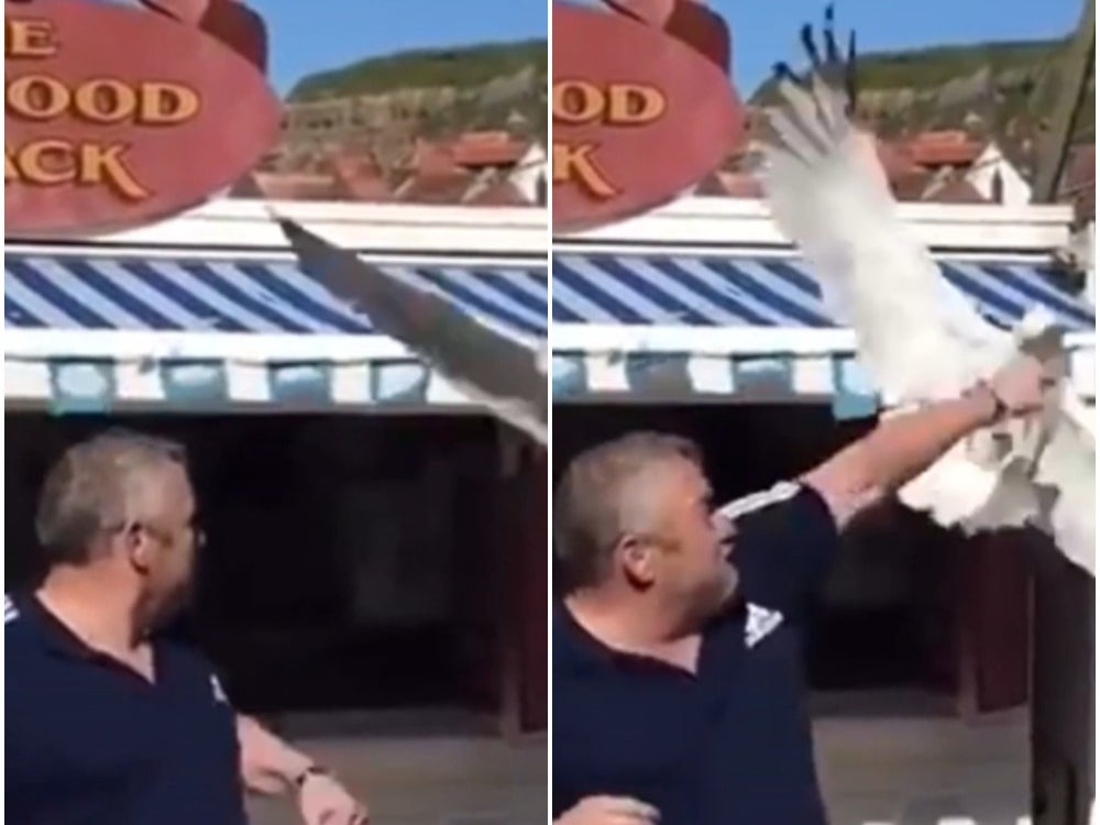 Moment man punches seagull as it tries to grab his food in viral Reddit