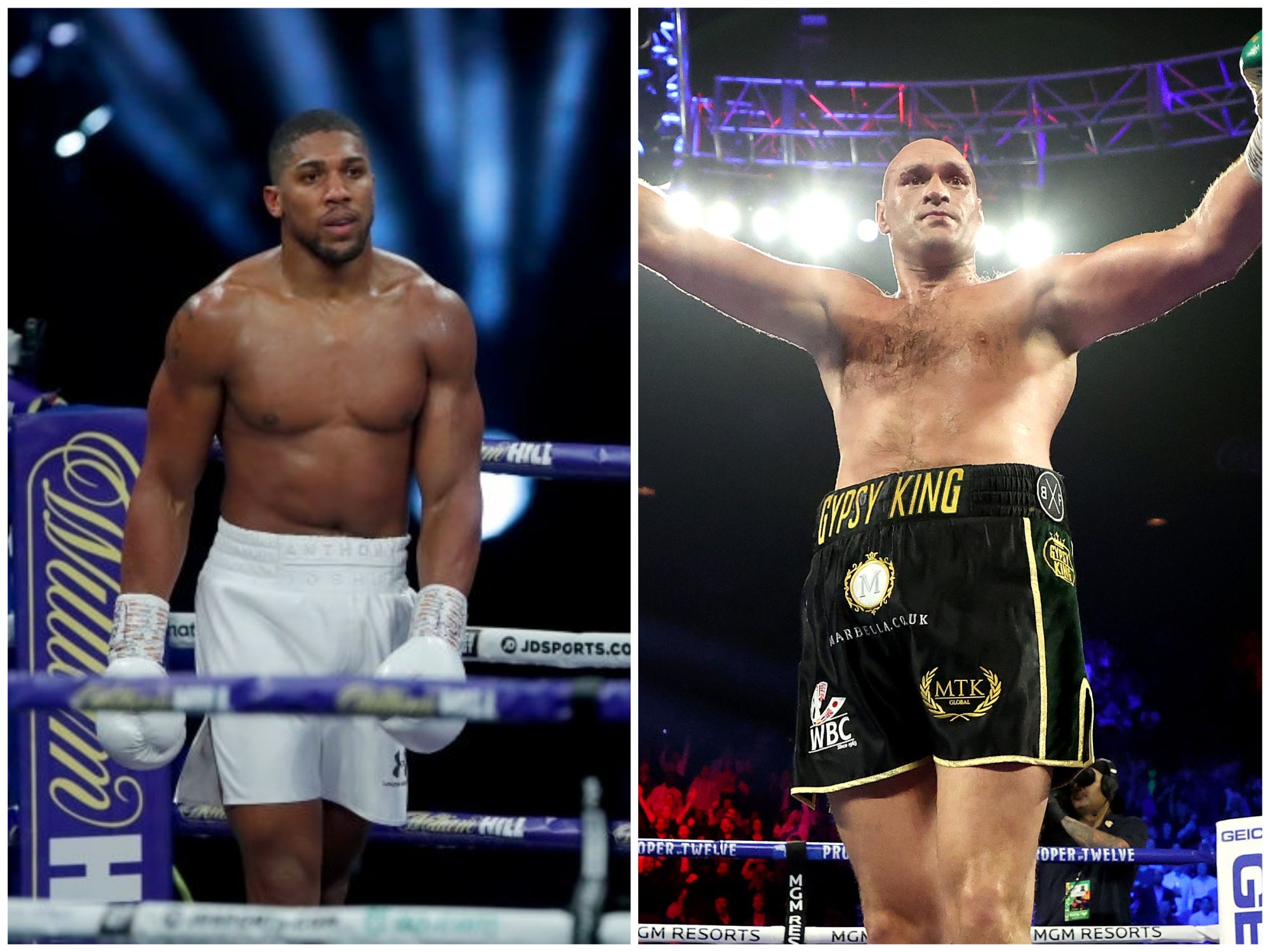 Tyson Fury, Anthony Joshua and how boxing shot itself in the foot again The Independent