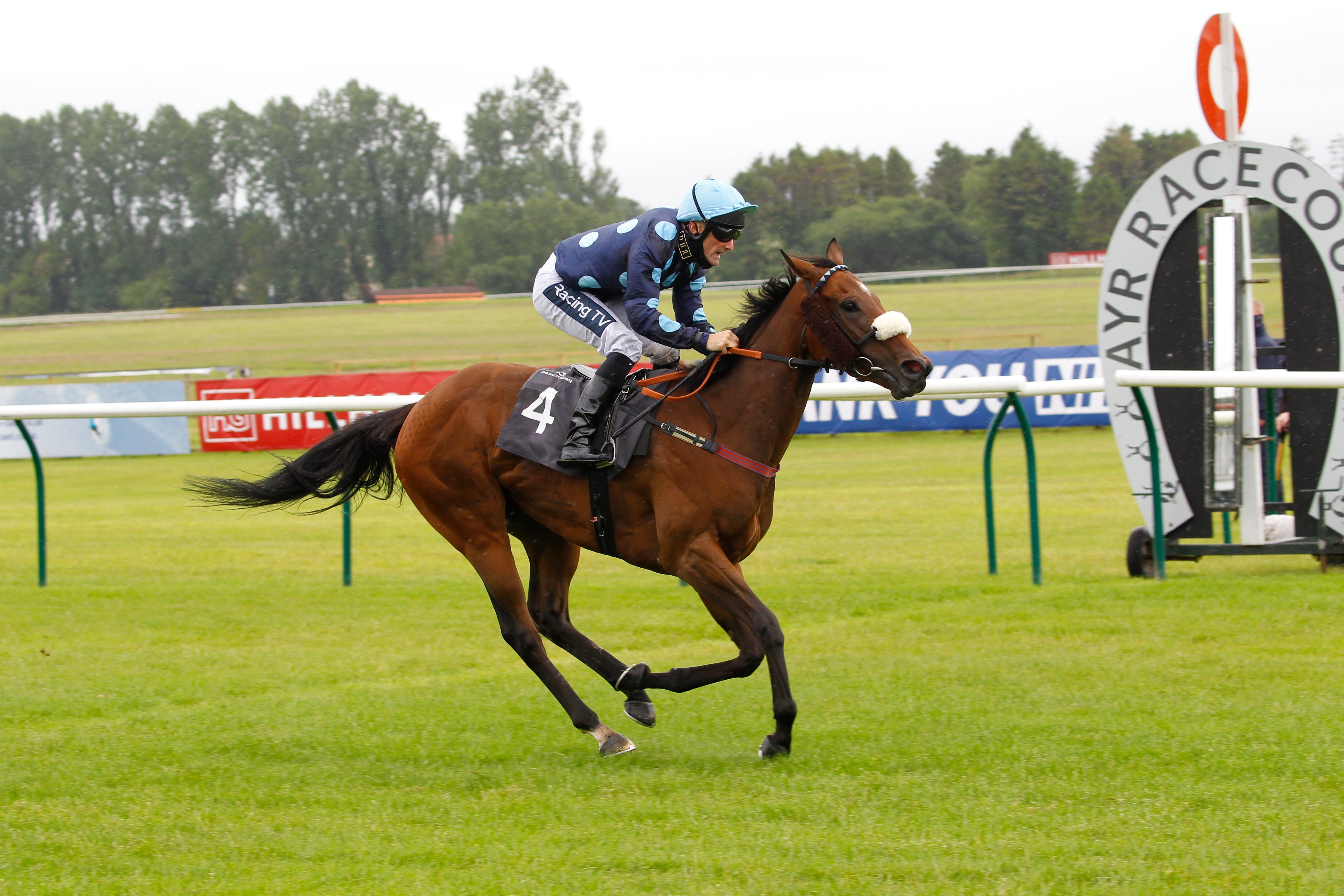 Que Amoro returns to action for Michael Dods