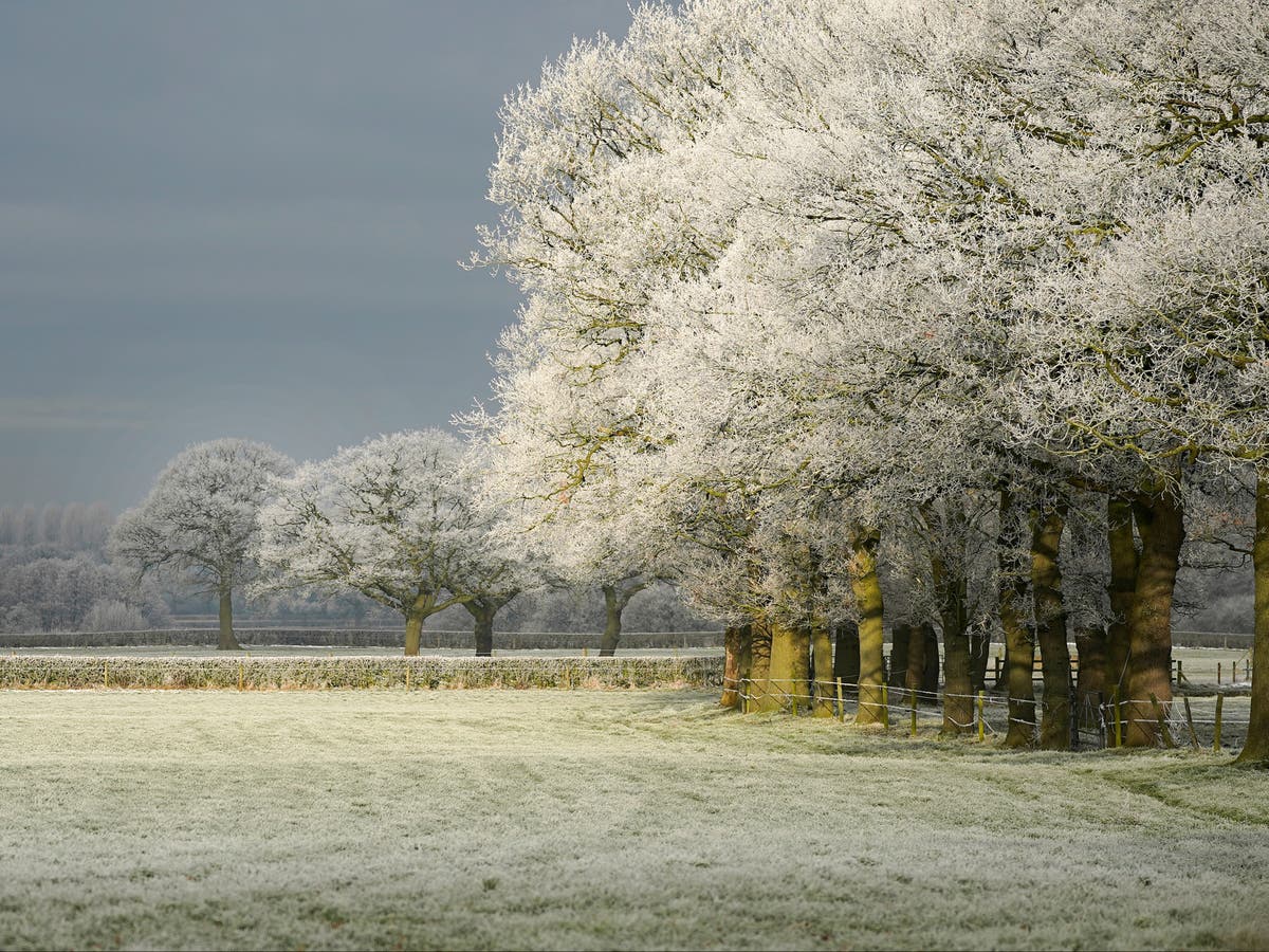 UK weather forecast: Temperatures to remain unseasonably cold on first weekend of large outdoor gatherings