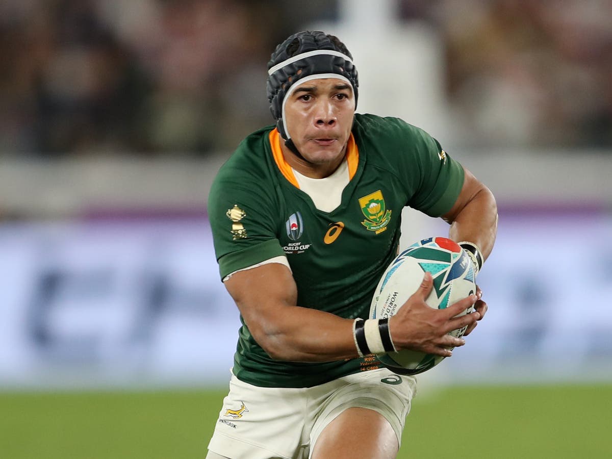 World Cup winner Cheslin Kolbe: 2009 Lions tour fuelled my love of rugby