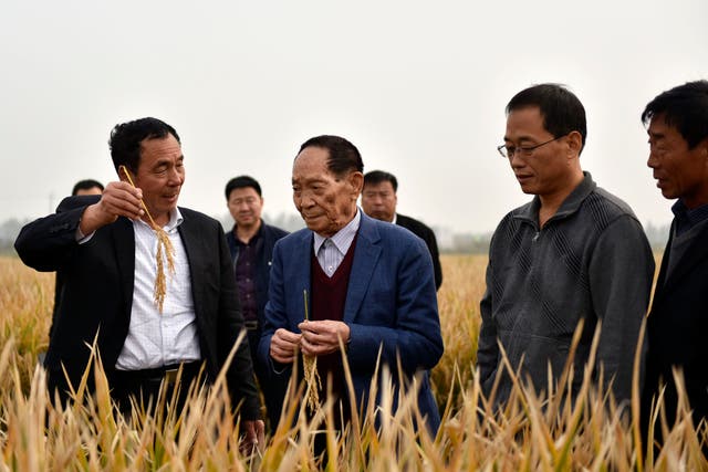 China Obit Yuan Longping Rice