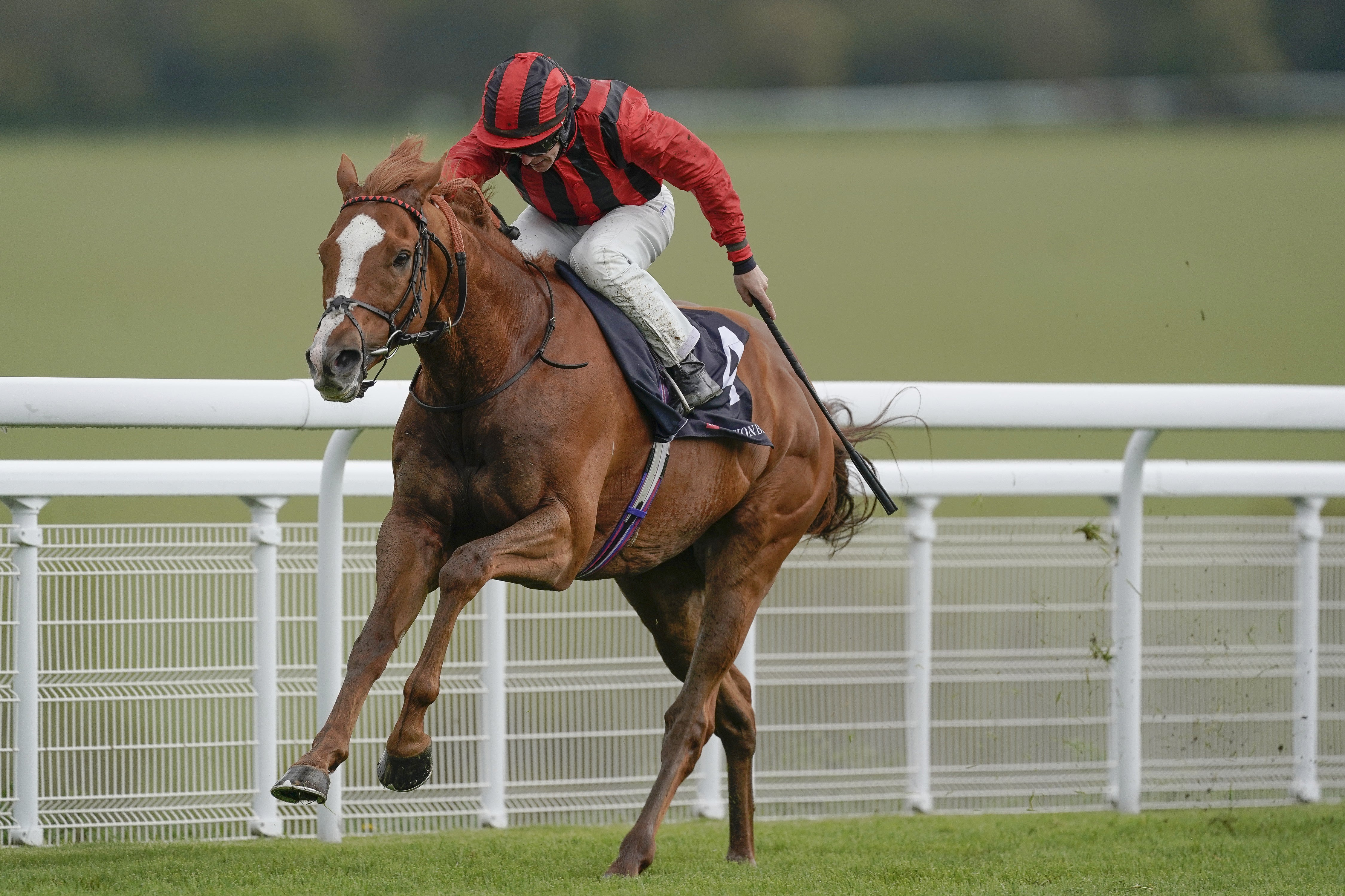 Goodwood Races – Saturday May 22nd