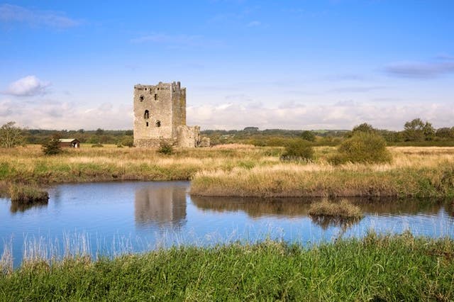 <p>Threave Castle will be one location under the rewilding plans where biodiversity and wild species can flourish </p>