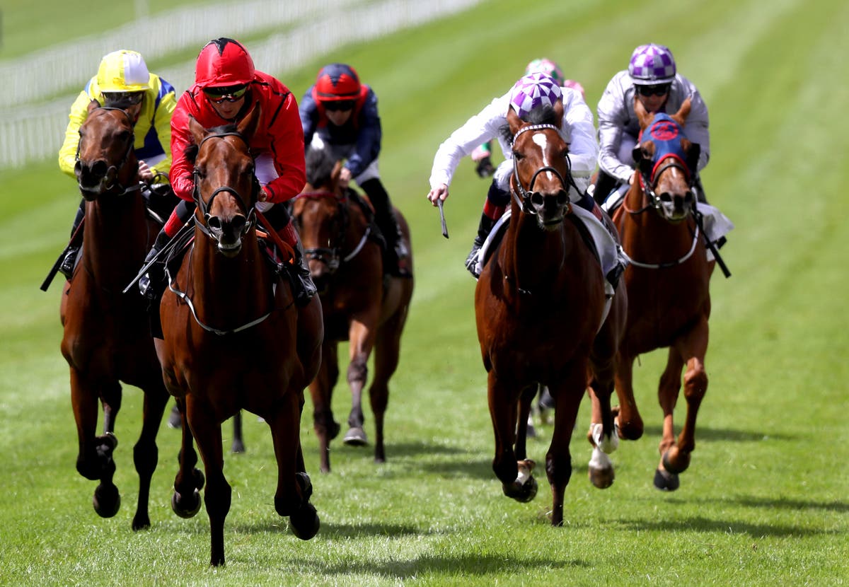 Star shines with impressive Marble Hill performance