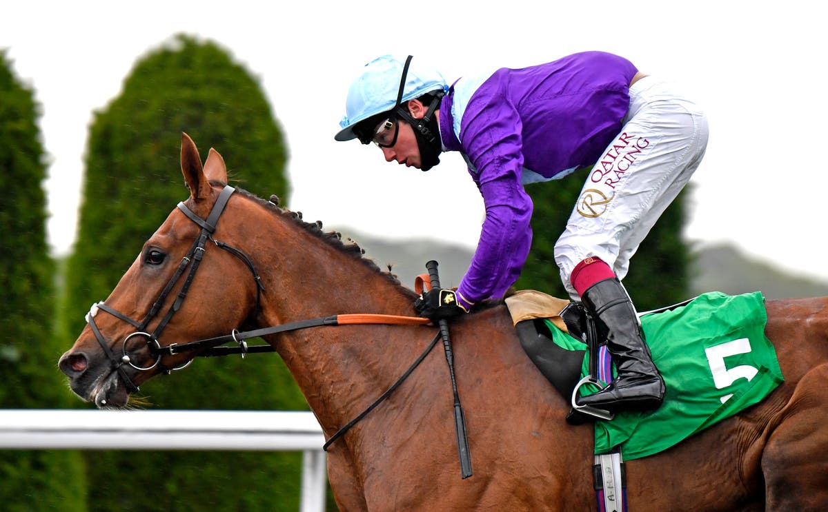 Tribal Craft bags Bronte Cup honours at York